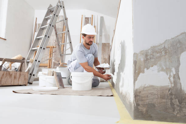 Professional Dry wall and painting in Shawneeland, VA