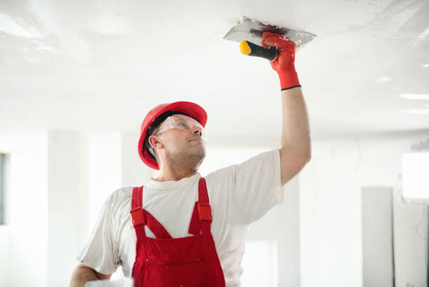 Best Ceiling Drywall Installation  in Shawneeland, VA